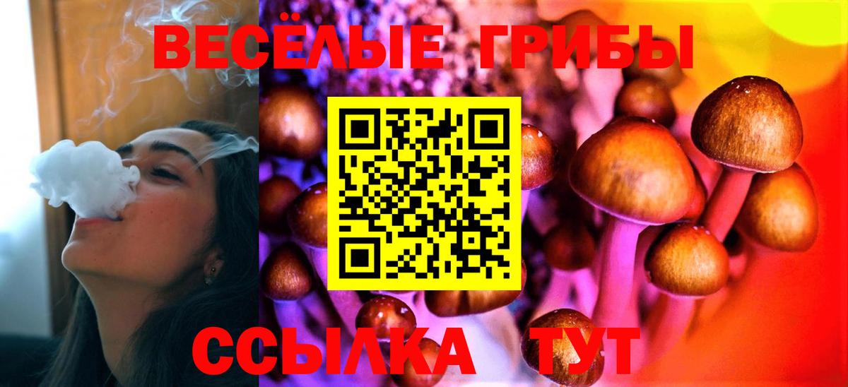 Галлюциногенные грибы Psilocybe  Вход с VPN  Серпухов 